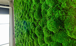 Meeting point under a moss wall: Greenhill installation at the Clinton European headquarters